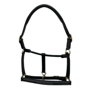 Indiana Raised Fancy Stitch Halter 1"