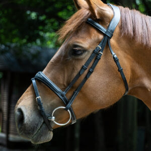 Indiana Signature Anatomical Fancy Stitch Bridle