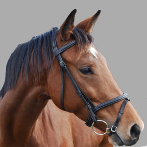 Padded Raised Fancy Stitched Bridle with Sure Grip Reins