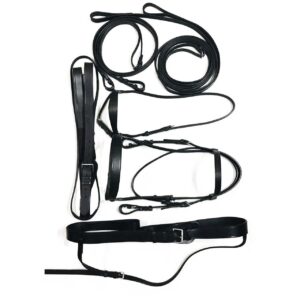 Poloworkshop Complete Polo Bridle with Set