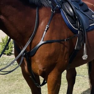 Indiana Signature Anatomical Breastplate