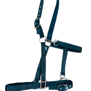 Indiana Neoprene Padded Nylon Halter 1''