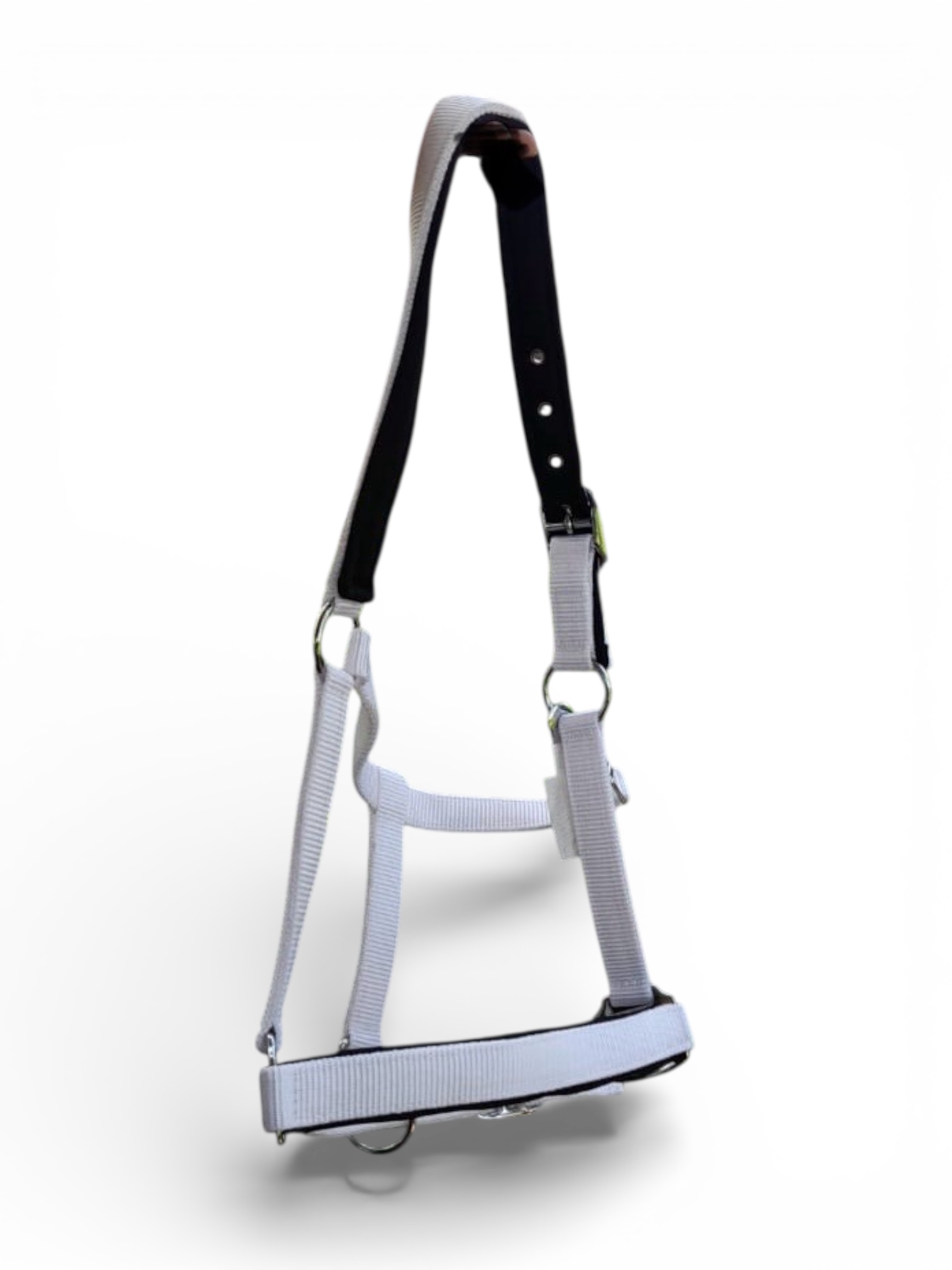 Halter – Tack and Leather