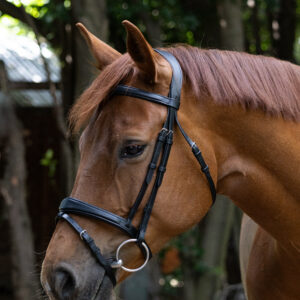 Indiana plain Anatamical bridle with Rubber reins.